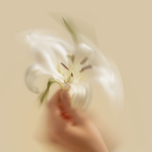 Lily (Feat. 타이미)