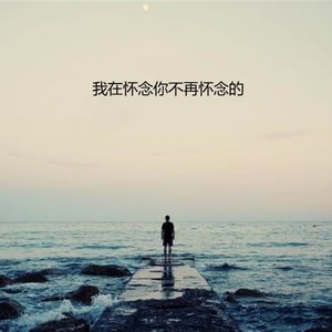 我在怀念你不再怀念的 (Live)