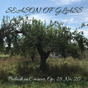 Prelude in C Minor, Op. 28, No. 20