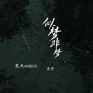 似梦非梦封面