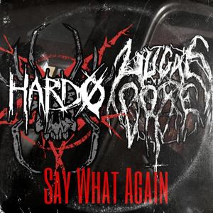 Say what Again (feat. Hardø)