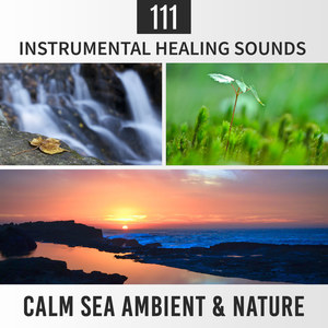 111 Instrumental Healing Sounds: Calm Sea Ambient & Nature, Pure Relaxation Moods, Spa Music, Zen Therapy, Yoga Balance, Sleep Meditation Training