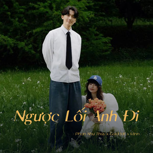 Ngược Lối Anh Đi (Lofi)