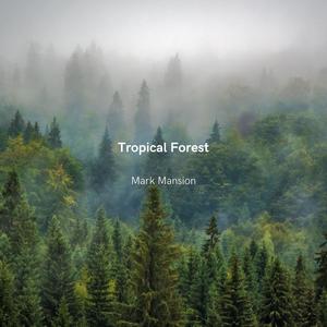 Tropical Forest (Extended Mix)