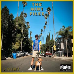 The Mint Files (Explicit)