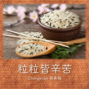 蒋承翰 - 粒粒皆辛苦