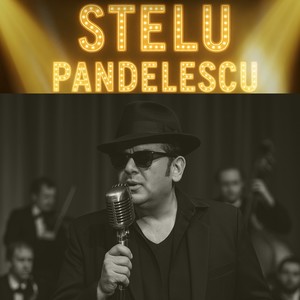 Sunt vagabondul vietii mele