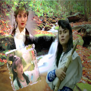 壮志未酬剑锋不藏