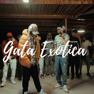 gata exotica (feat. ian james) (Explicit)