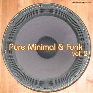 Pure Minimal & Funk, Vol. 2