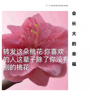会长大的幸福 (狗淏夫新年快乐呀哈哈哈吃糖)