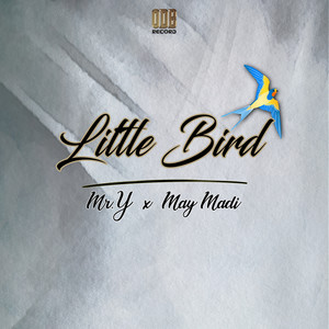 Little Bird