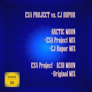 Acid Moon (Original Mix)