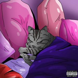 Why Are You Gay!(feat. wolfacejoeyy) (Remix|Explicit)