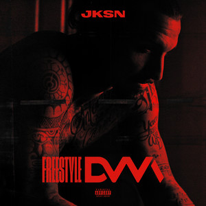 Freestyle DVM (Explicit)