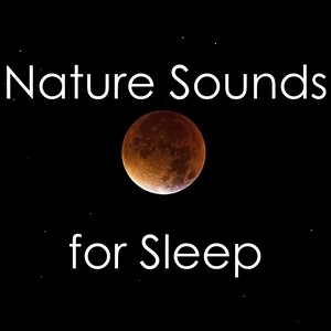 12 Calming Nature Sounds for Sleep