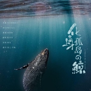 化身孤岛的鲸
