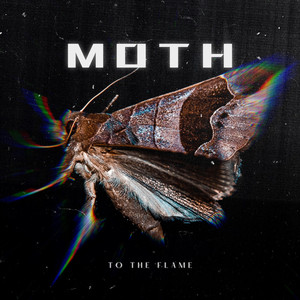 Moth to the Flame