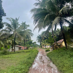 Makomp (feat. AlkalineMKMP & Kalokoh) (Explicit)