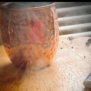 Everything (feat. T. Roc-A-Fella & Sensei Zen) (Explicit)