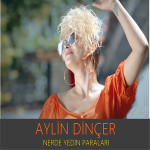 Nerde Yedin Paraları