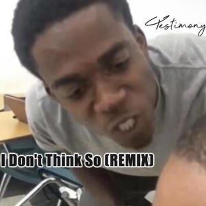 I Don't Think So (feat. JustPierre) (Remix)