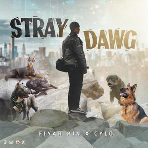 Stray Dawg(feat. CYLO) (Explicit)