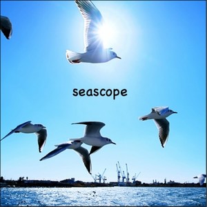 seascope