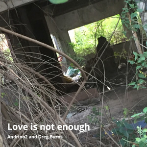 Love Is Not Enough