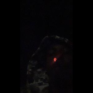 Catch up (Explicit)