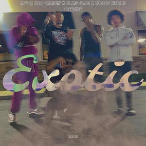 Exotic (feat. Nassi Z, SGQP & RICO!) [Explicit]