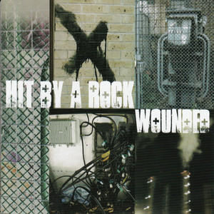 Black Lily White Lotus(feat. Susheela Raman)