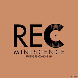 In Progress (Original Mix)
