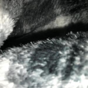 Ice On Me (Explicit)