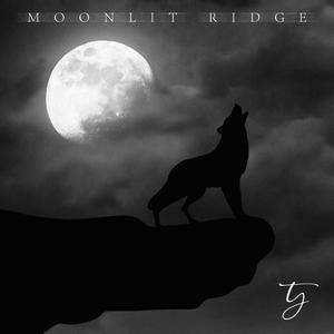 Moonlit Ridge