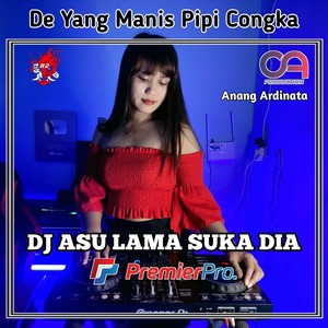 Dj Asu Lama Suka Dia - Ins