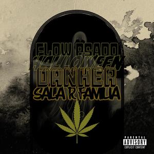 Flow Pesado (feat. Danher) [Explicit]