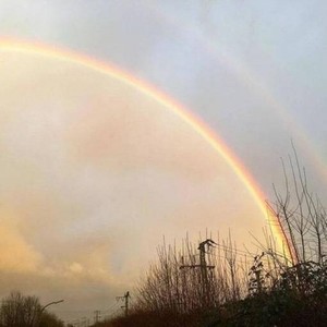 空山新雨后