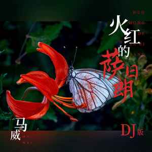 火红的萨日朗 (DJ版伴奏)