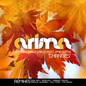 Changes (The Horses Stepped In The Remix)