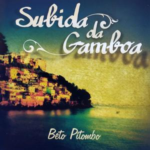 SUBIDA DA GAMBOA