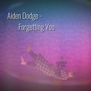 Forgetting You