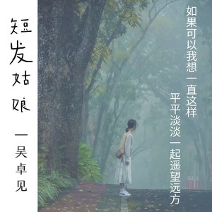 吴卓见 - 短发姑娘
