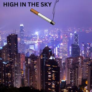 HIGH IN THE SKY (feat. Tk goony) [Explicit]