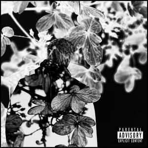 Rainy Day (Explicit)