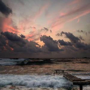 春风十里报新年