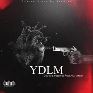 YDLM (feat. ****MGArmani) [Explicit]