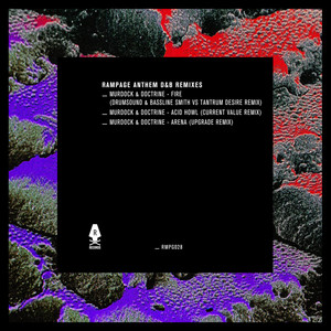 Fire (Drumsound & Bassline Smith vs Tantrum Desire Remix)