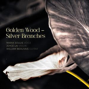 Drume Negrita (feat. Maria Soulis - voice & Joyce Lai - violin)