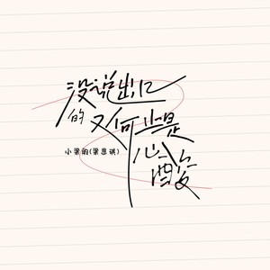 没说出口的又何止是心酸DJ版-小梁的（梁思琪）